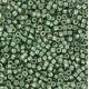 Miyuki delica beads 11/0 - Duracoat galvanized sea green DB-1845